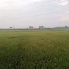 lekhoahh