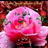tasneem_hussain_