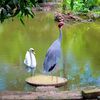 yehtet5483