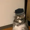 pimpimpowz