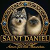 mascotas_saint_daniel