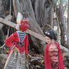 sembridiscovery