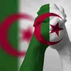 abdsamd13