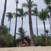 fatchattack