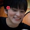 seal_fery
