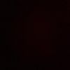 user4733739527219