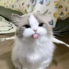 notadang