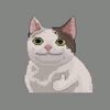memesquad007
