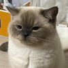 khaoula_sedairia