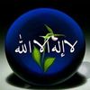 raoufbadialtobshi