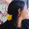 madu_01333