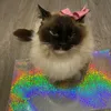 snupsnup2