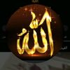 halasamir704