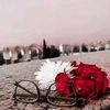 fatima.asif6