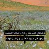 nasserf0