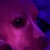 santiagoo_sl