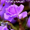 azyza4909
