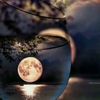 __omar86