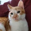 axelquint25_