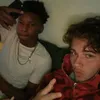damnsebbe