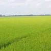 useranh4_hailua