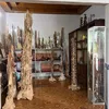 tramhuongphuctrach