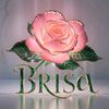 brisa5235