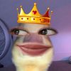 putteii0