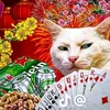 anh.tu.phan6