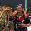 triwidodo498