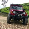 adamsaputra259