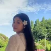 Sen Nhỏ 🪷
