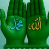 abdumehammed2