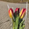 vesnakrasna05