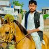 afshanali512