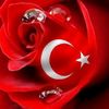 nesecnbz45