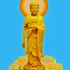 vongtan_hoannguyen
