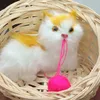 usmansunny127