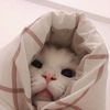 ladyleony00