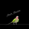 amir._design