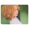 ray_ana17