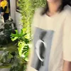 linhhh1188