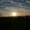 gabriela_3663