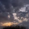 .3_nr