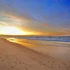 hamptons11