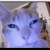 sebastianbmm