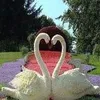 abuhaideralassafi0