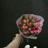 hawraa3094