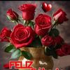 yaz_cas33