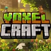 voxel_of